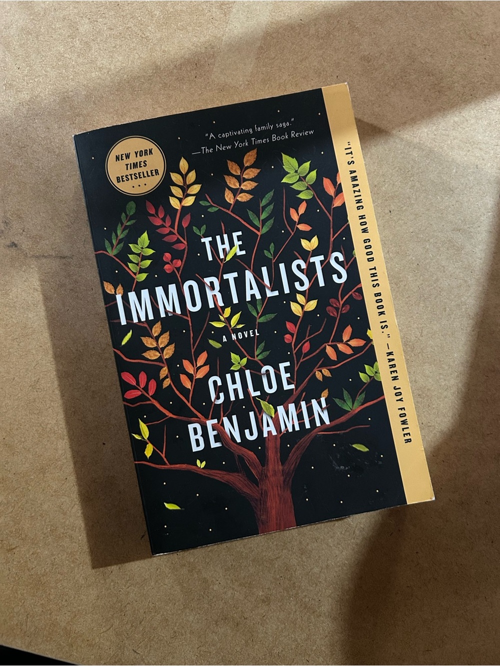 The Immortalists by Chloe Benjamin